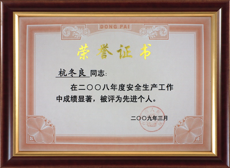 2008先進個人杭冬良-丹陽人民政府